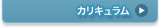 カリキュラム