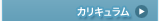 カリキュラム